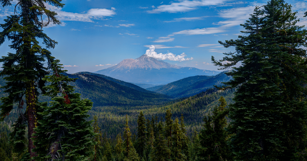 Why Easy Trails in California Are Great for the Environment