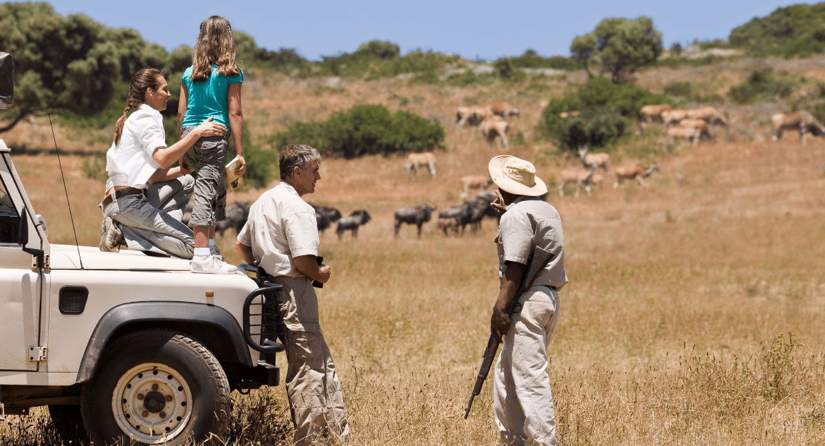 Safari Holidays South Africa