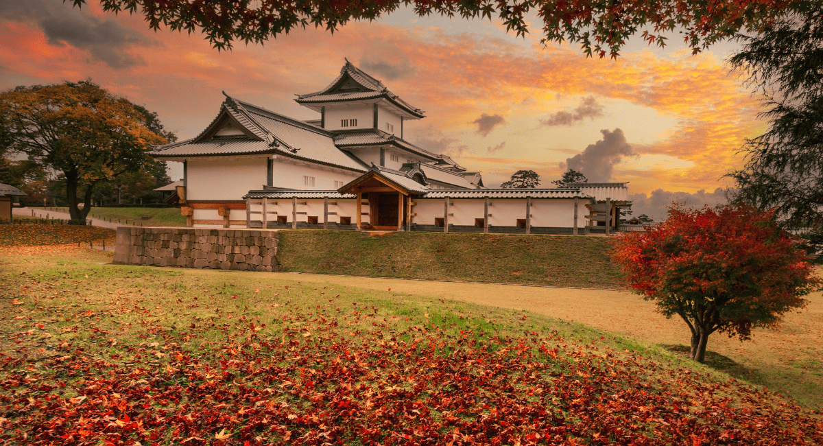 Traditional Japanese Culture
