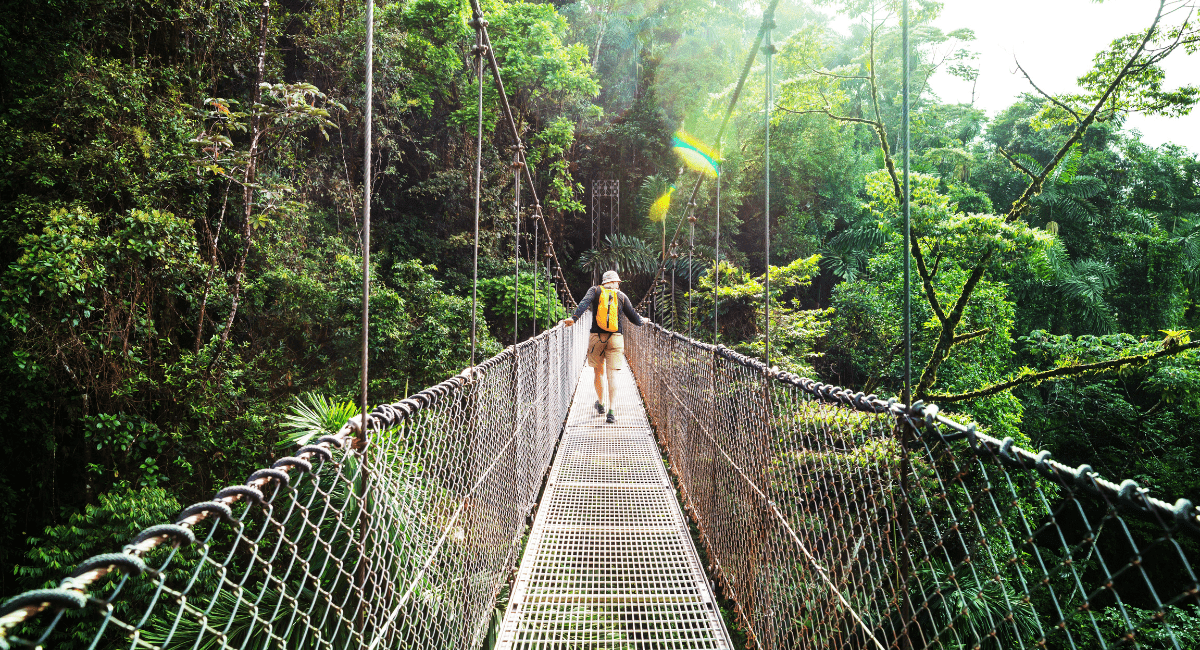 Costa Rica’s Rainforests on a Wildlife Trek