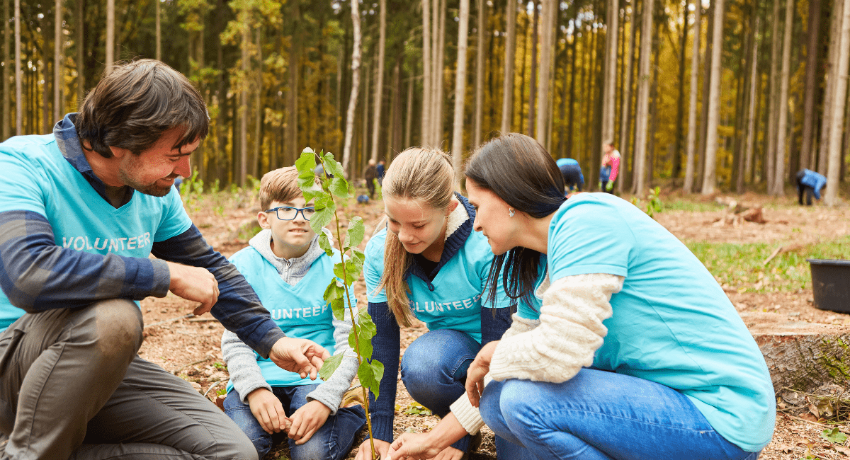 Volunteer Abroad for Environmental Causes