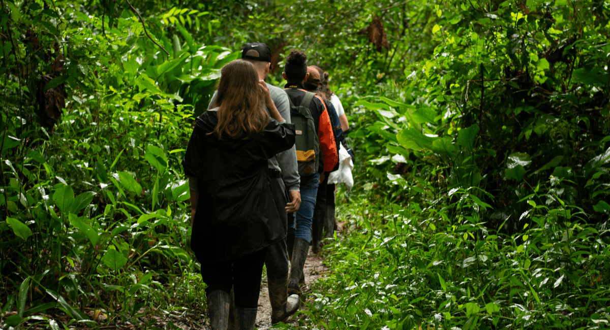 Global Impact of Volunteer Abroad Environmental Causes