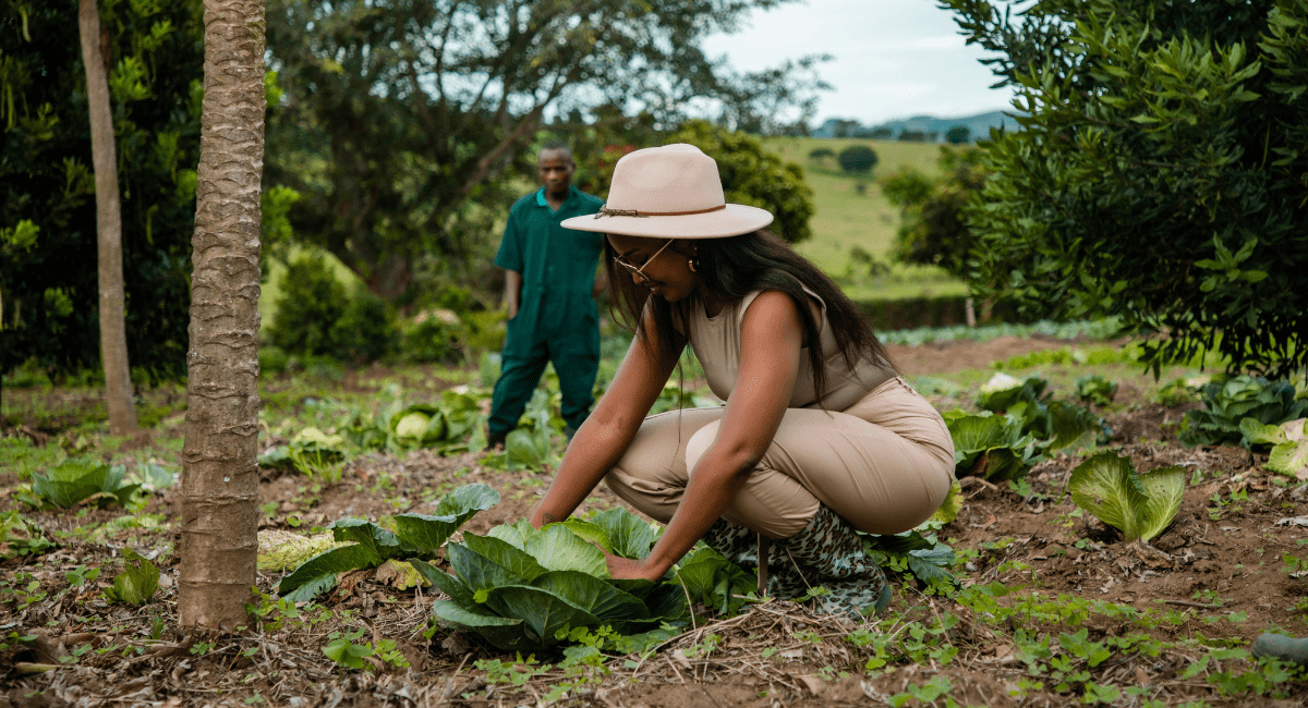 Volunteer Abroad Environmental Causes Can Help You Stand Out in the Job Market