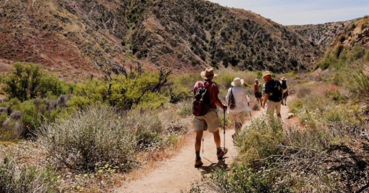 Adventure Travel for Seniors Offers Endless Fun